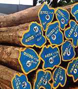 Hard & Furniture Wood